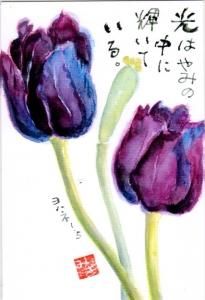 みことば入り 絵葉書 紫チューリップ Gospel Light Store ゴスペル ライト ストア クリスチャンショップ 書店 大阪府和泉市