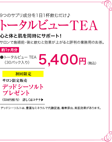 9ĤΥץʬ11հ ȡӥ塼TEA 5,000