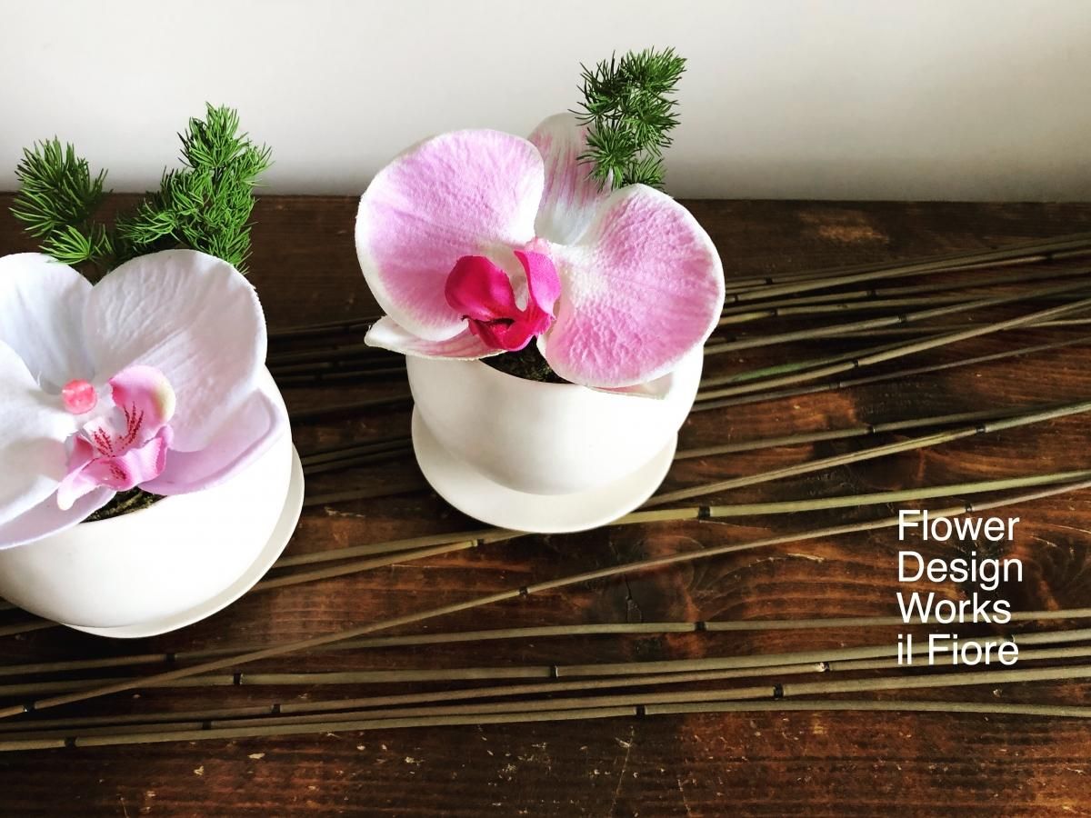 Mosu モス 苔玉 Flower Design Works Il Fiore Mosu モス 苔玉 Flower Design Works Il Fiore