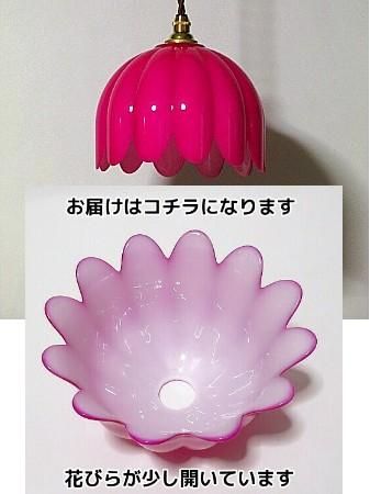 濃いピンクの照明ってなかなか無いんですよね レトロポップとクラシックが合体 花びらガラスの大人カワイイペンダントライトです 照明 は施主支給で というお施主さんを応援しています レトロカフェ開業 古民家再生 新築 リフォームに カフェカウンター上照明に超 濃いピンクの照明ってなかなか無いんですよね レトロポップとクラシックが合体 花びらガラスの大人カワイイペンダントライトです 照明 は施主支給で というお施主さんを応援しています レトロカフェ開業 古民家再生 新築 リフォームに カフェカウンター上照明に超