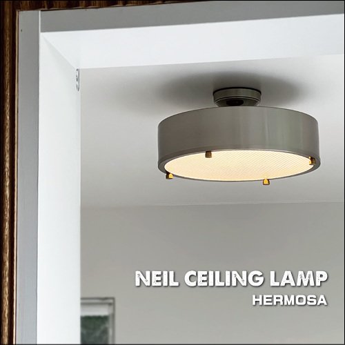 NEIL CEILING LAMP ニールシーリングランプ（LED内蔵/リモコン付属）シルバー - SELFISH +NET SHOP+ |  おしゃれな照明・オーダー家具・雑貨のお店 | セルフィッシュ