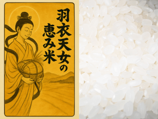<img class='new_mark_img1' src='https://img.shop-pro.jp/img/new/icons5.gif' style='border:none;display:inline;margin:0px;padding:0px;width:auto;' />ð建ҥʱŷηäơˣ7ǯ