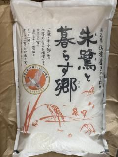 餹̺ݥҥꣵ6ǯơ