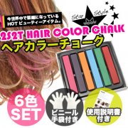 [2S2T HAIR COLOR CHALK] ヘアカラーチョーク6色セット [ビニール手袋付き、説明書付き、ラベル付き]
