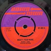 WHAT'S YOUR NAME - DENNIS LOWE - 大阪 JAMAICAN VINTAGE RECORD SHOP