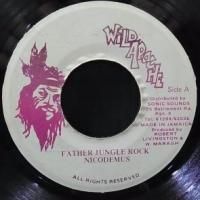 reggae レコード NICODEMUS Ni5qcGVn.jpeg