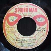 ジャマイカ7” The Itals / The Revolutionarie Dont Wake The Lion none Spiderman /00050 The Itals / The Revolutionarys – Don't Wake The Lion – Vinyl