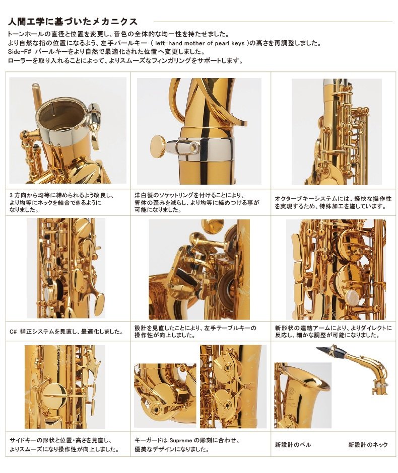 97%OFF!】Supreme ブラッシュドサテン ゴールドラッカー仕上げ シュプレーム アルトサックス 彫刻入り 木管楽器 