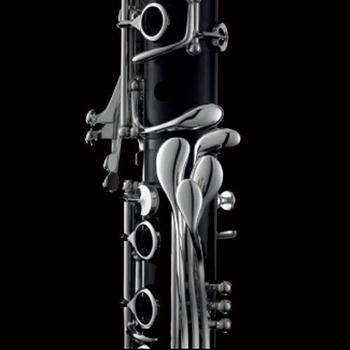 Henri SELMER Paris - Privilege bass clarinet