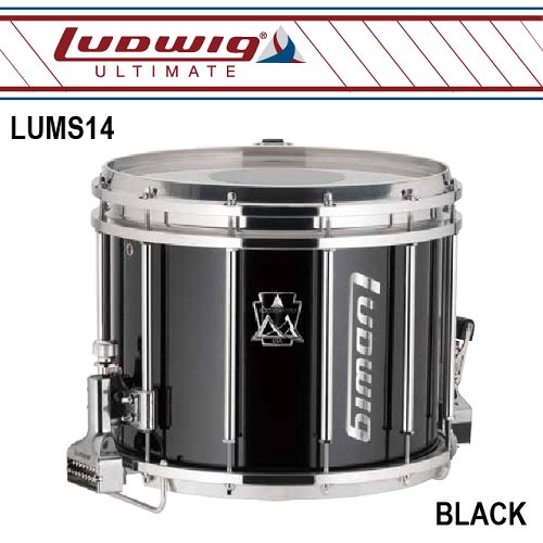 Ludwig ラディック 12