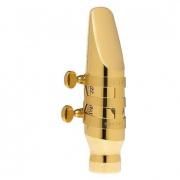 トランペット SAVALEY ゴールド ラッカー 本体 ケース付き マウスピース Bach バック / 5C GP トランペット用 マウスピース ｜イケベ楽器