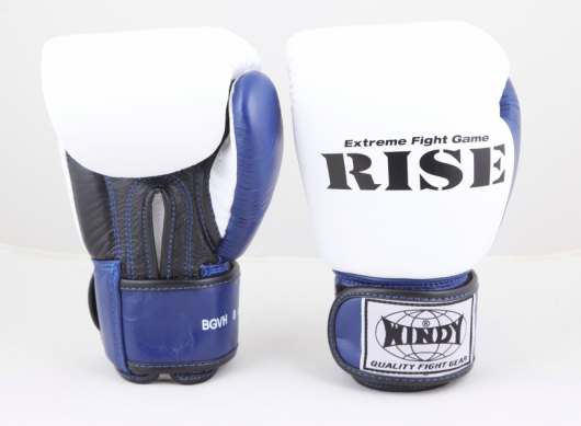 RISE公式モデル トレーニンググローブ 【テープ式 RISE公式モデル トレーニンググローブ 【テープ式