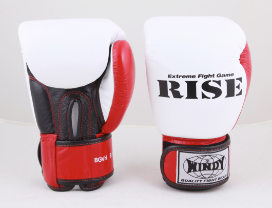 RISE公式モデル トレーニンググローブ 【テープ式 RISE公式モデル トレーニンググローブ 【テープ式