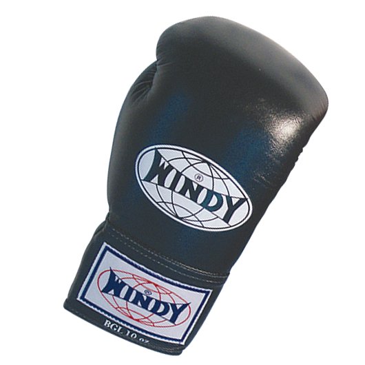 WINDY BGL 試合用グローブ(ひも式) - フィットネスショップ通販サイト 格闘技&フィットネス
