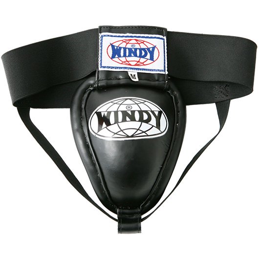 WINDY APT-2 ファールカップ - フィットネスショップ通販サイト 格闘技&フィットネス