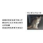 LANTERN PARADE / 言葉が尽きるまで待って (7