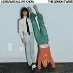 THE LEMON TWIGS / A DREAM IS ALL WE KNOW (LP)