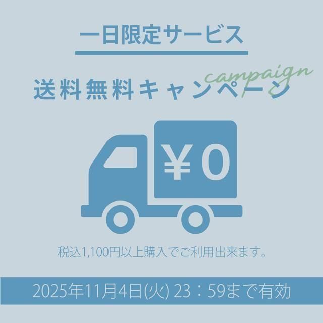 一日限定送料無料チャンス