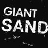 GIANT SANDIS ALL OVER THE MAP