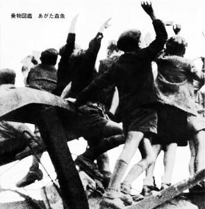 【35％OFF】 あがた森魚 / 乗物図鑑 (輸入LP国内仕様) - BRIDGE INC. ONLINE 邦楽