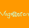 ヴァガモロン「VAGAMORON」(PDSG0001)7インチアナログ