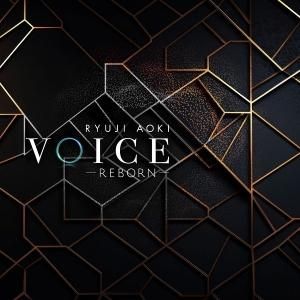 青木隆治/VOICE-REBORN- - BRIDGE INC. ONLINE STORE