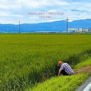 永明孔峰 サインシックA 865－922 駐輪禁止 | 【ミドリ安全】公式通販