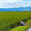 ߥȥץ륨å/HOKURIKU