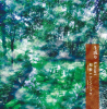 <img class='new_mark_img1' src='https://img.shop-pro.jp/img/new/icons15.gif' style='border:none;display:inline;margin:0px;padding:0px;width:auto;' />ߡΥ祦 = KinariסARR-0045