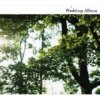 VAWedding Album(333D44)