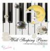 Sleep Piano「至福の眠れるピアノ」(SCCD0045)
