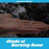 Kawabata MakotoShade of Burning Snow(CHAOTIC-016)