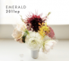 EMERALD2011ep(FLR-0007)