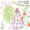 beipana「Lost in Pacific」(TW01)