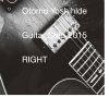 ͧɱ Guitar Solo 2015 RIGHTסdms-162