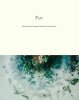 Akira Kosemura, Megumi Shinozaki & Kimihiko NittaForסSCH-044CD+DVD+Photobook