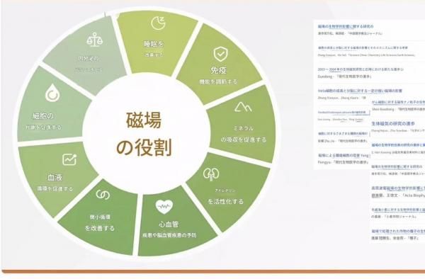 viiva 遠赤外線磁場ポータブルマットレス 大小2枚セット(カバー