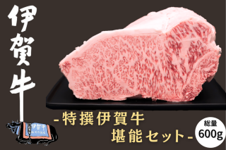 【ギフトにおすすめ】伊賀牛の美味しさ 堪能セット 総量600g
