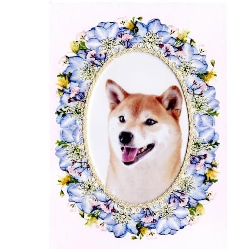 ͥ