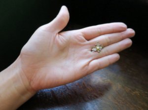 小っちゃい虫のブローチ　チョウ（S7413)