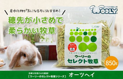 ウーリーのセレクト牧草「オーツヘイ」850g - うさぎショップ Love Rabbit