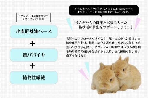Sanko ラビット ヘアボールリリーフ 50g うさぎショップ Love Rabbit Sanko ラビット ヘアボールリリーフ 50g うさぎショップ Love Rabbit