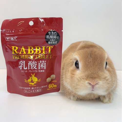 GEX 乳酸菌 60粒 - うさぎショップ Love Rabbit
