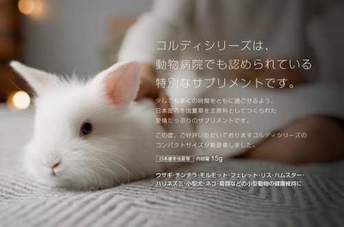 うさぎショップ Love Rabbit