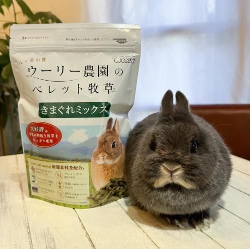 ꡼ ꡼Υڥå ޤߥå    ڥå 