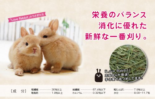 おすすめ商品 - うさぎショップ Love Rabbit