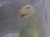 ޥ륵ŷ顡߸