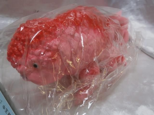 ヤモマーク キンギョザウルス - 一番星WEBショップ ヤモマーク キンギョザウルス - 一番星WEBショップ