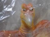 ٥ǥ롡å쥯󡡥ɥܡߥɥ륵