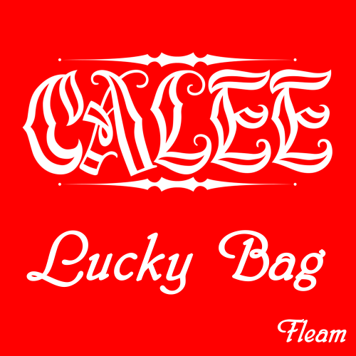 <img class='new_mark_img1' src='https://img.shop-pro.jp/img/new/icons15.gif' style='border:none;display:inline;margin:0px;padding:0px;width:auto;' />CALEE꡼lucky bag/CALEE